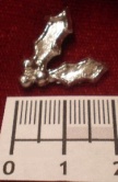 Pewter holly leaves token